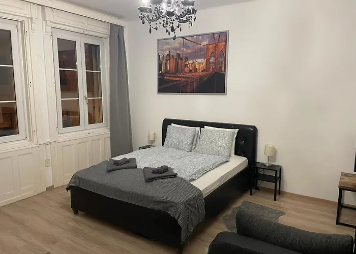 Cozy On Raday Corso *