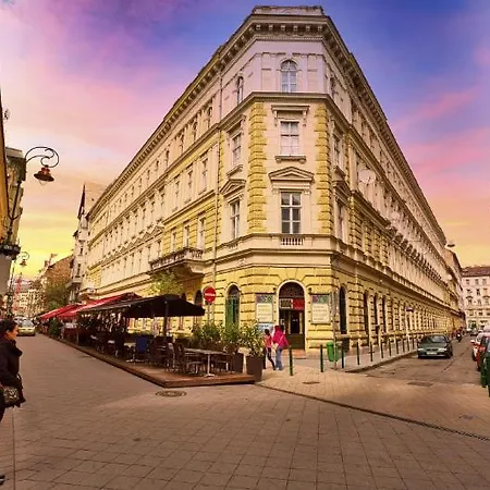 Cozy On Raday Corso *